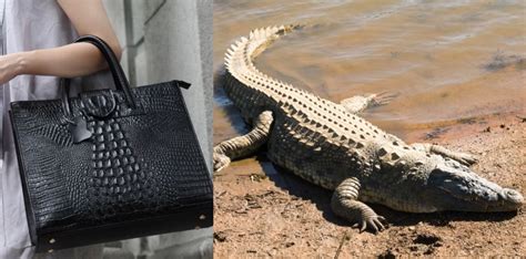 Does Louis Vuitton use real crocodile skin?