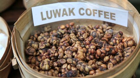Does Luwak coffee taste good?