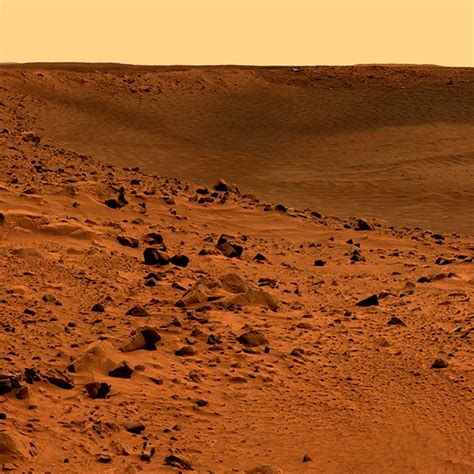 Does Mars soil have bacteria?