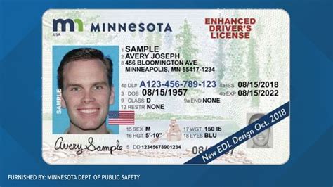 Does Minnesota use E-Verify?