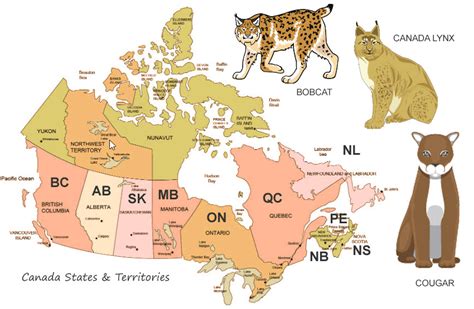 Does Ontario have big cats?