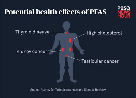 Does PFOA ever leave the body?