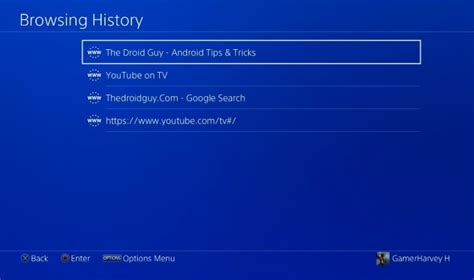 Does PS4 save Internet history?