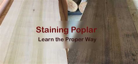 Does Poplar stain well?