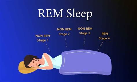 Does REM sleep prevent Alzheimer's?