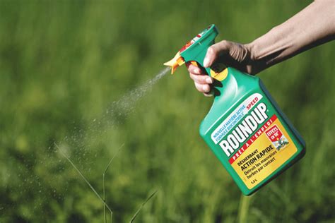 Does Roundup expire?