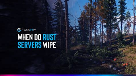 Does Rust wipe private servers?