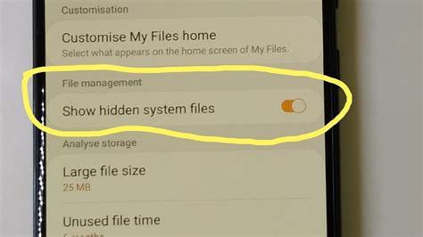 Does Samsung have hidden files?