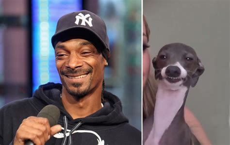 Does Snoop Dogg own a dog?