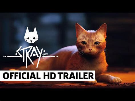Does Stray have a happy or sad ending?