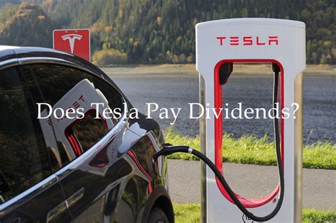 Does Tesla pay dividends?