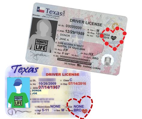 Does Texas have a donor registry?