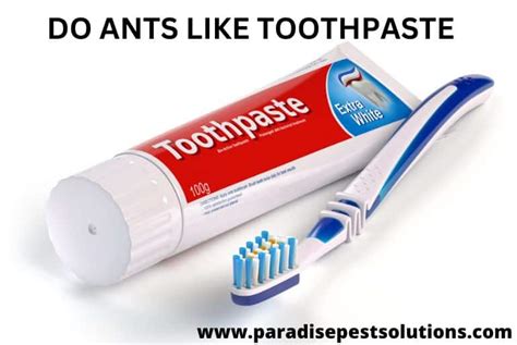 Does Toothpaste bring ants?