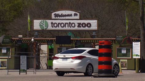 Does Toronto Zoo have a safari?