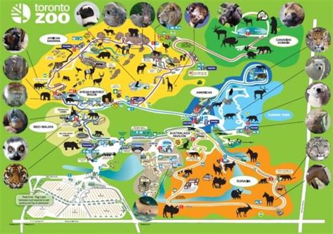 Does Toronto have a good zoo?