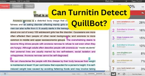 Does Turnitin look at QuillBot?