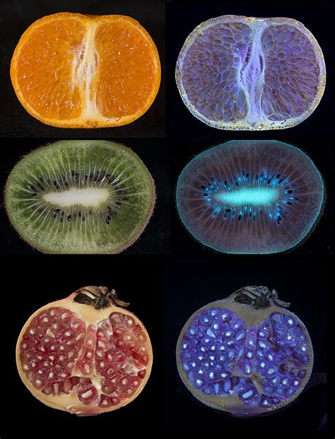 Does UV light ripen fruit?