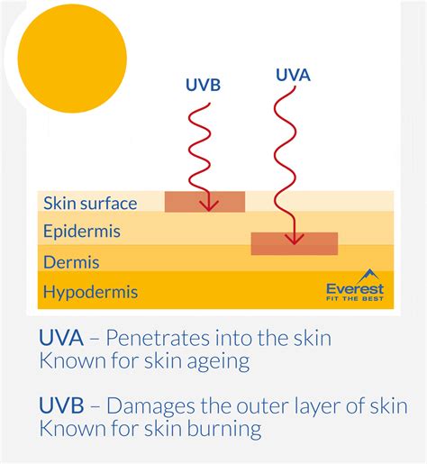 Does UVB tan you?