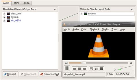 Does VLC collect data?