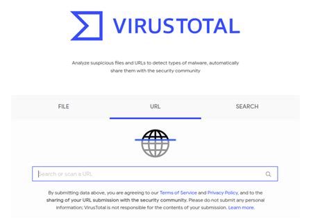 Does VirusTotal store files?