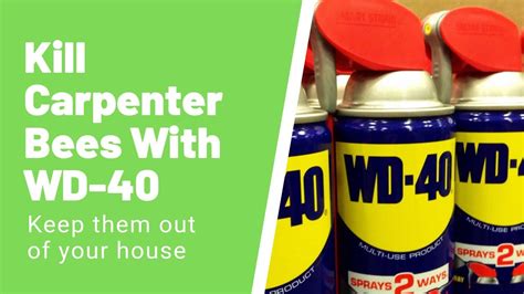 Does WD-40 kill wasps?