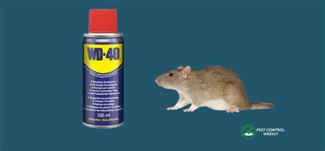 Does WD-40 repel animals?