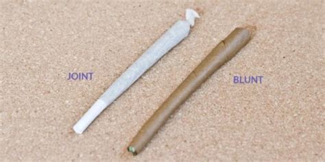Does a blunt have nic in it?