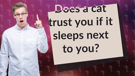 Does a cat trust you if it sleeps next to you?