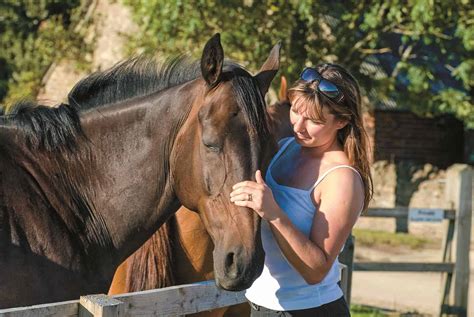 Does a horse feel love?