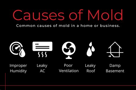 Does a hot room cause mold?