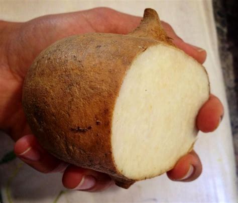 Does a potato taste like an apple?