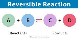 Does a reversible reaction ever stop?