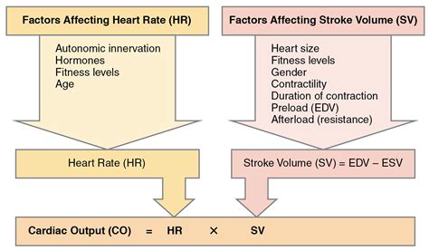 Does a weak pulse mean low cardiac output?