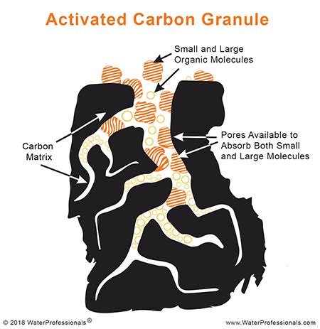 Does activated carbon remove protein?