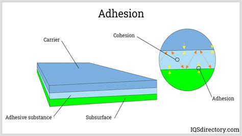 Does adhesion increase with temperature?