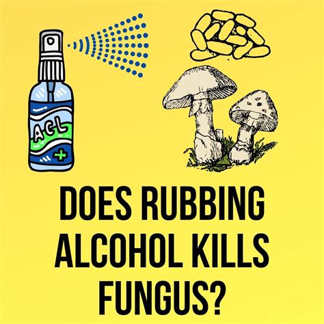 Does alcohol kill fungus on skin?