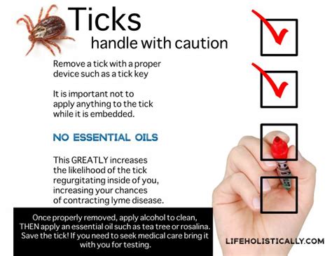 Does alcohol make a tick release?
