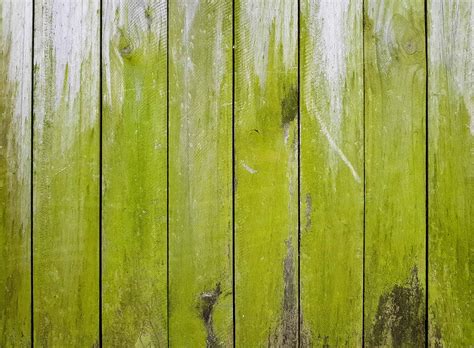 Does algae grow on decks?