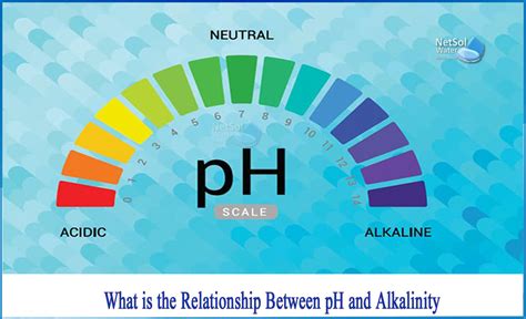 Does alkalinity raise or lower pH?