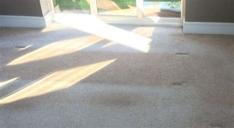 Does all carpet fade in sunlight?