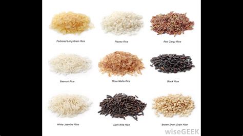 Does all rice have Bacillus?