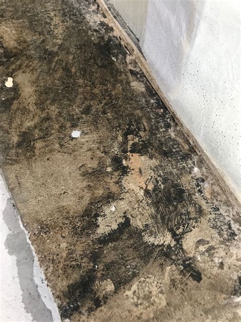 Does all vinyl flooring have asbestos?