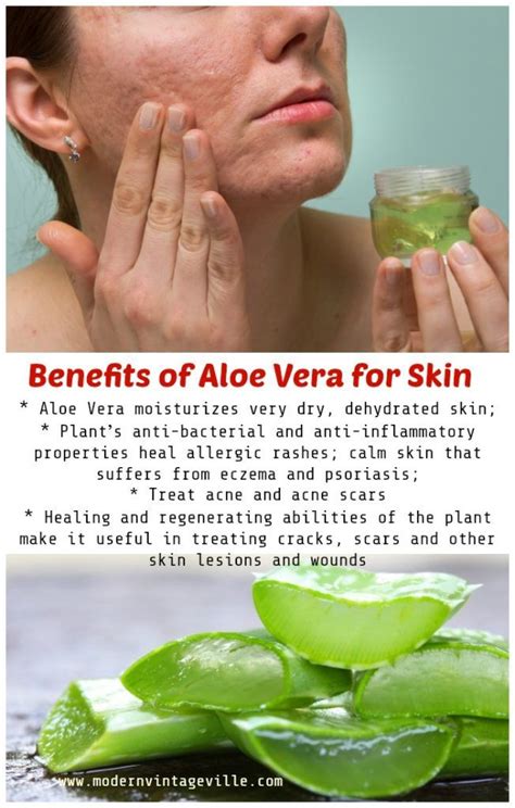 Does aloe vera actually heal?