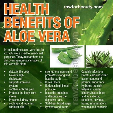 Does aloe vera clean your blood?