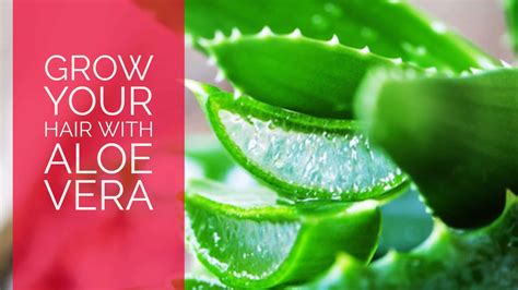Does aloe vera help hair grow faster?
