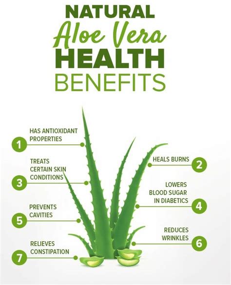 Does aloe vera make you last longer?