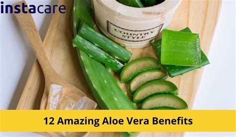 Does aloe vera restore collagen?