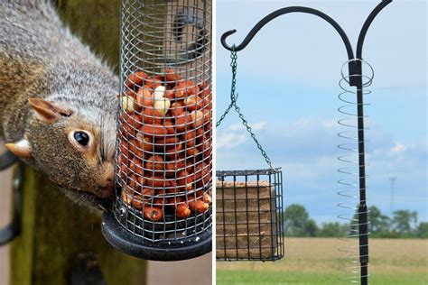 Does aluminum foil keep squirrels away?