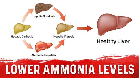 Does ammonia get rid of blood?