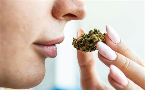 Does an unsmoked joint smell?